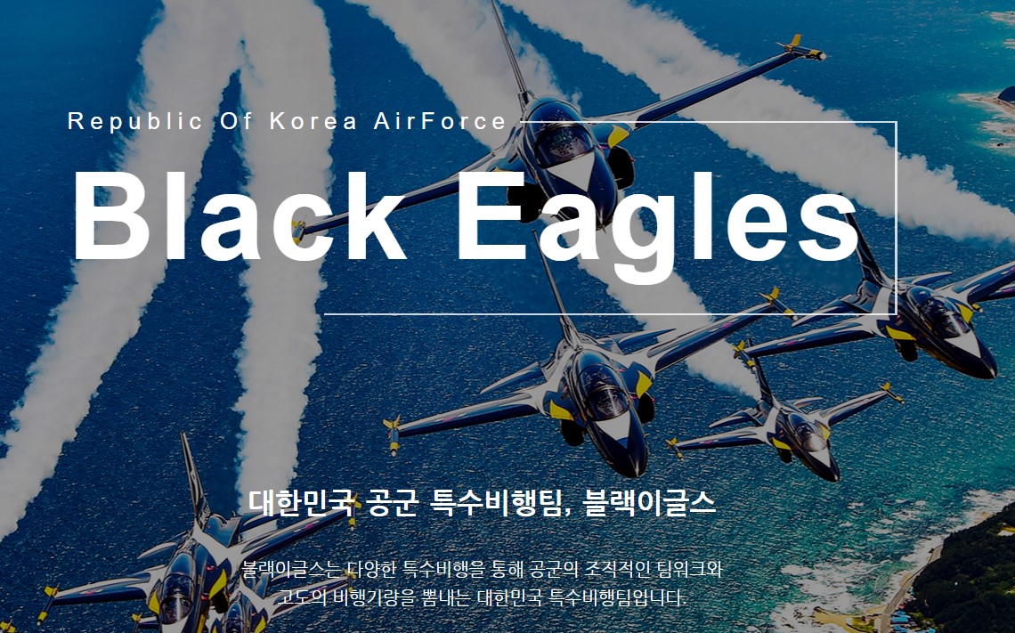 블랙이글스 사진