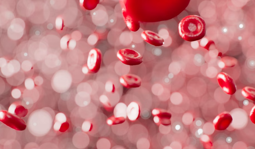 콜레스테롤 고지혈증 초기 증상 자가진단 & 위험 신호 완벽 분석