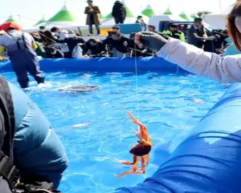 영덕 대게축제_27