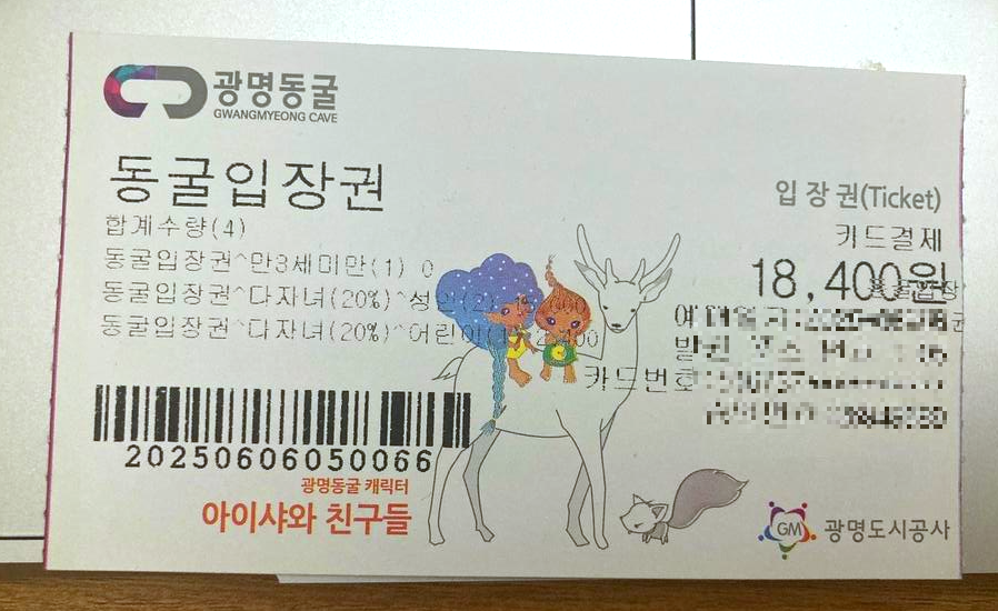 동굴 입장권