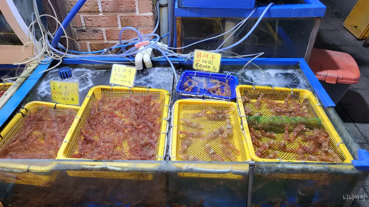 독도새우-닭새우-꽃새우-저렴한가격-완전놀랄껄