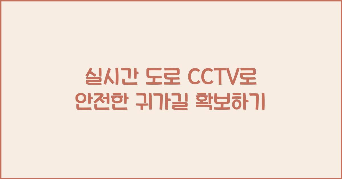 실시간 도로 cctv