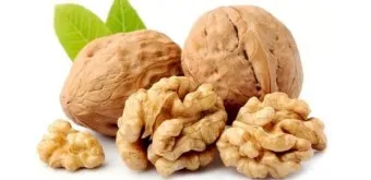 호두 효능 섭취량 칼로리_3
