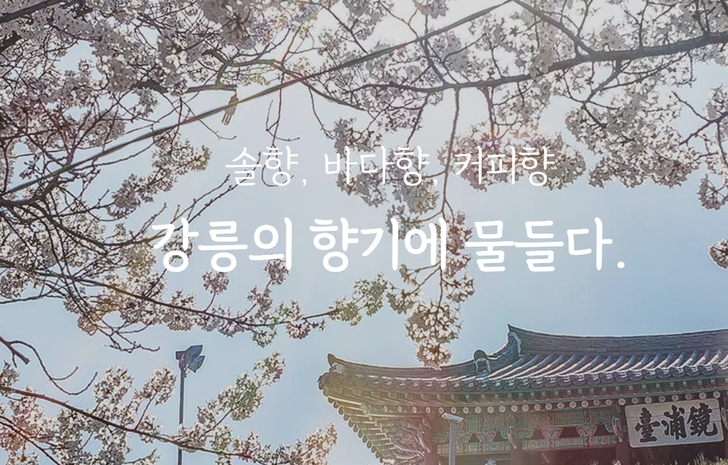 강릉 여행
