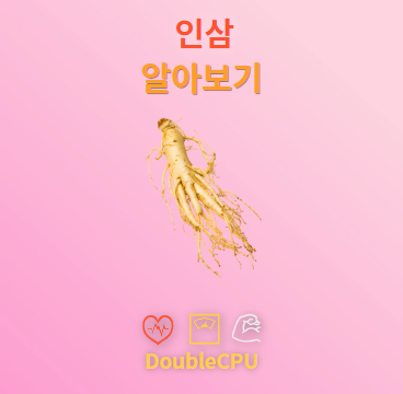 인삼 탐구