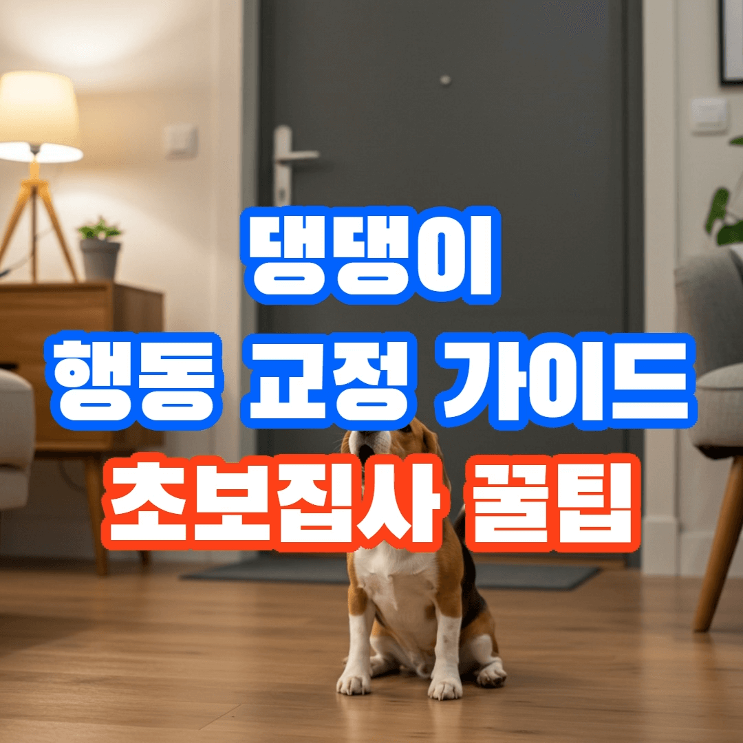 반려견 행동 교정 가이드, 초보주인이 알아야 할 필수 가이드🐕