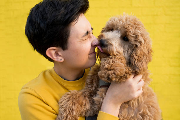 강아지가 주인을 핥는 이유 5가지와 대처방법