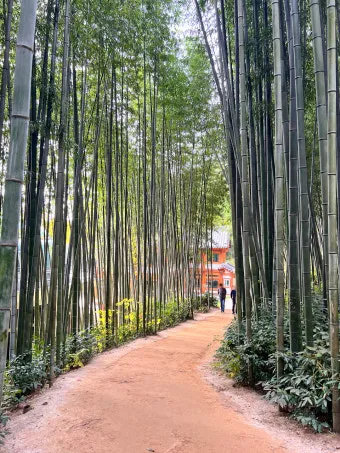담양 죽녹원 소아르호텔 숙박 맛집_24