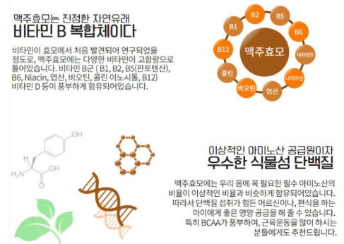 맥주효모의 효능