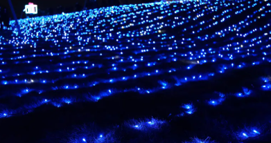 포항국제불빛축제