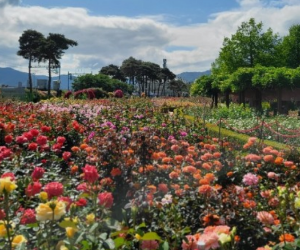꼭 가야하는 축제 BEST 5곳