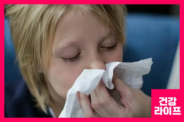 비염 뿌리를 뽑으려면 치료