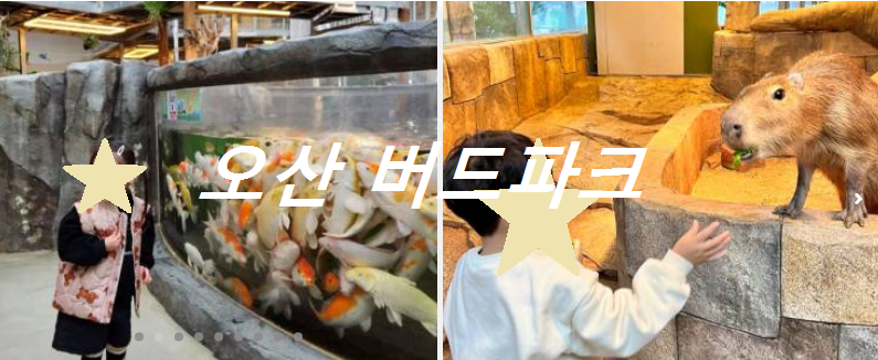버드파크