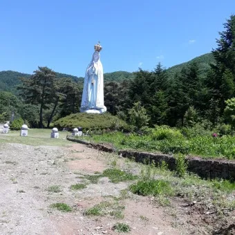 천진암 흰민들레 백양자연관찰로 괭이눈 개화_19