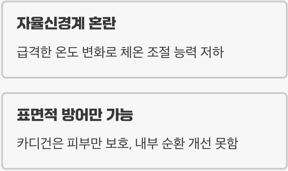 카디건은 왜 완벽한 해결책이 아닐까?