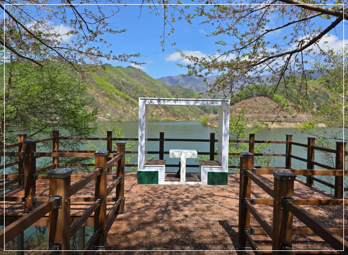 봉화 가볼만한곳 베스트10 물야저수지 벚꽃길