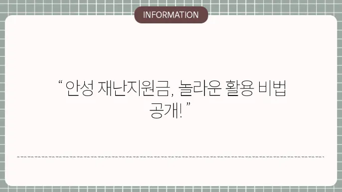 안성 재난지원금: 지원금 활용 정보