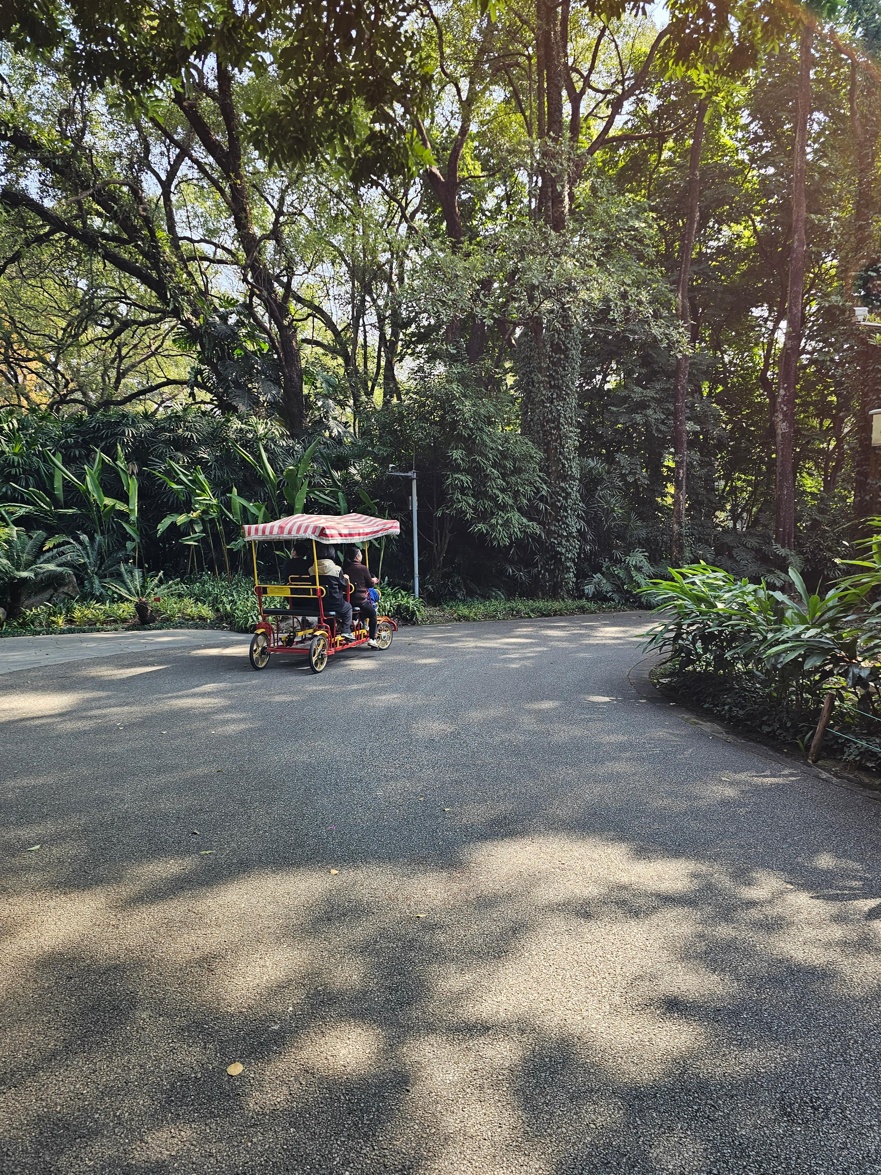 광저우 화남식물원