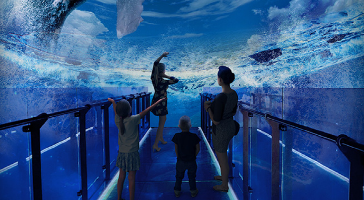 청풍호반 케이블카