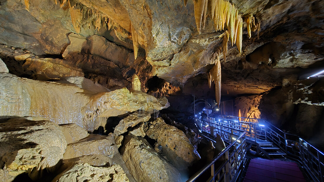 강원 삼척 대이동굴에서 경험하는 신비로운 지하 생태 탐방 여행