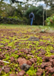 에코랜드 테마파크