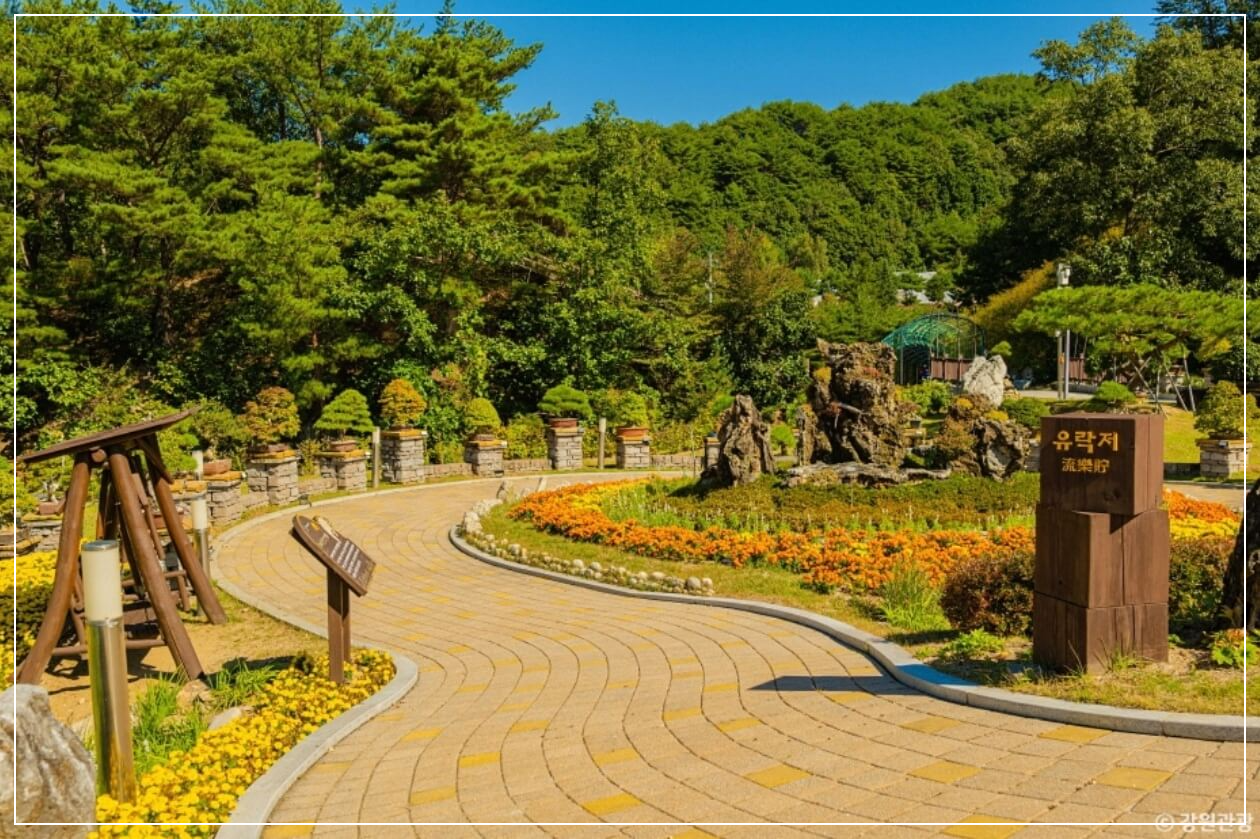 양구 가볼만한곳 베스트10 양구수목원