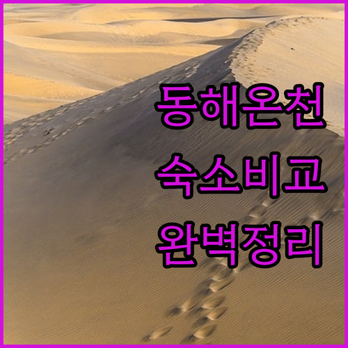 동해 보양 온천 호텔 현진 관광 호텔..