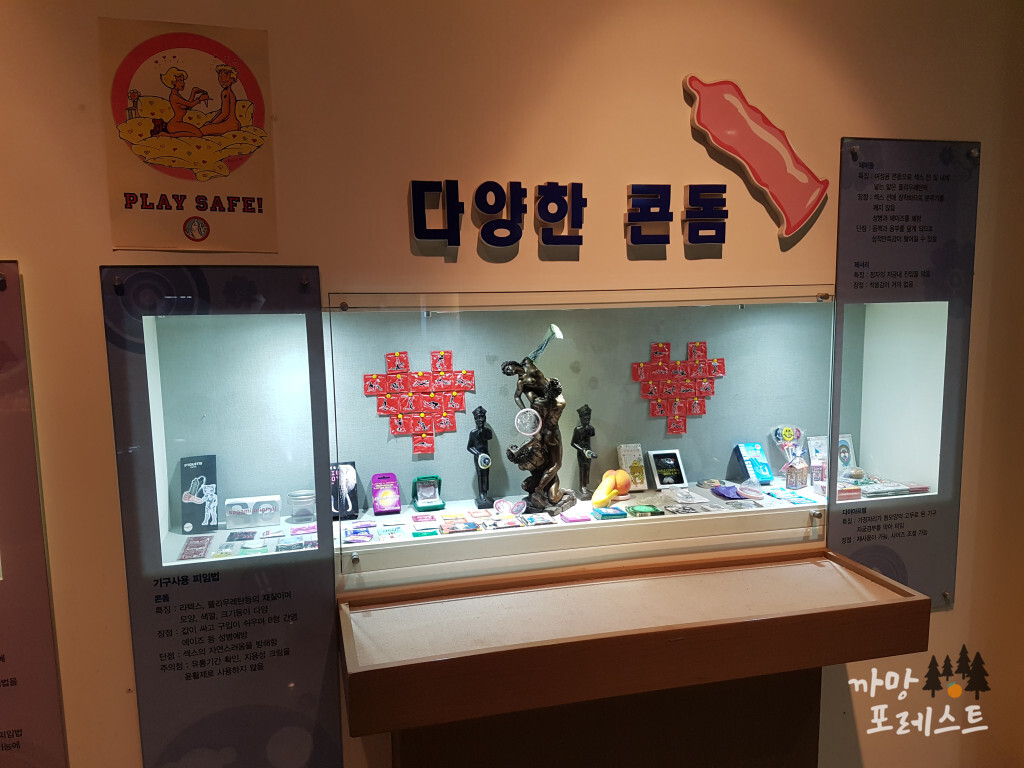 건강과 성 박물관 콘돔
