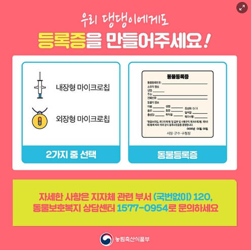 동물등록방법과-내장형-외장형-마이크로칩-가격-시술비용-및-동물등록증-발급에대한-안내