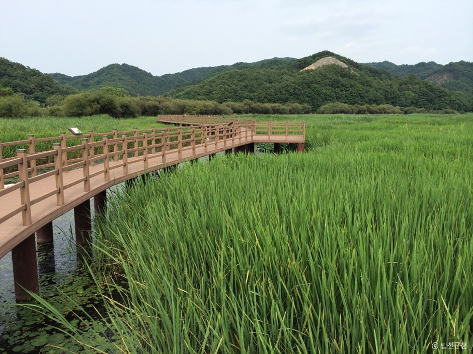 합천 가볼만한곳 베스트10