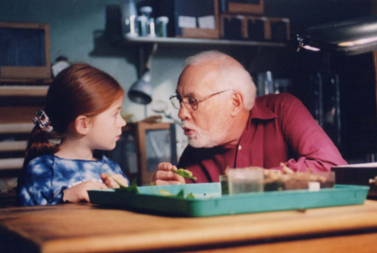 연령별 예방접종 종류
