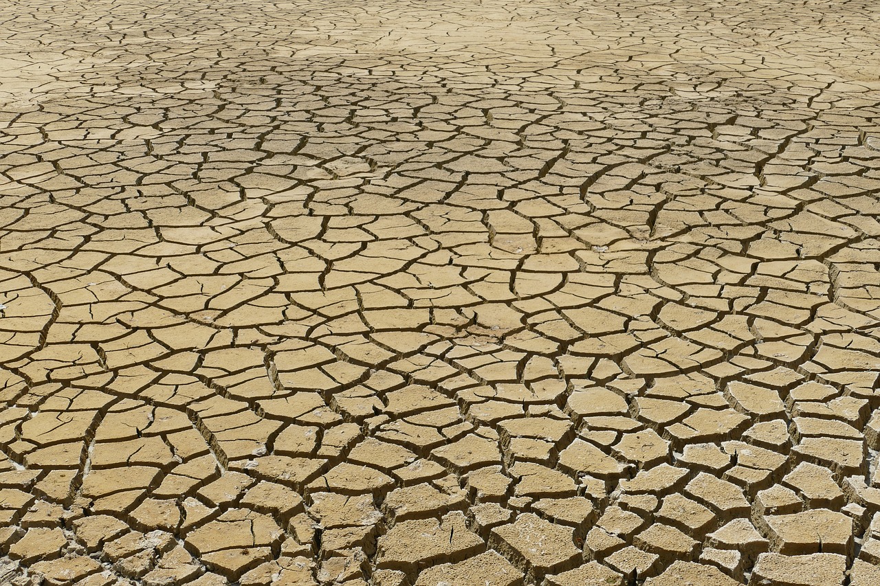 Dehydration