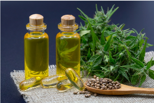 비너지 대마종자유 안전성