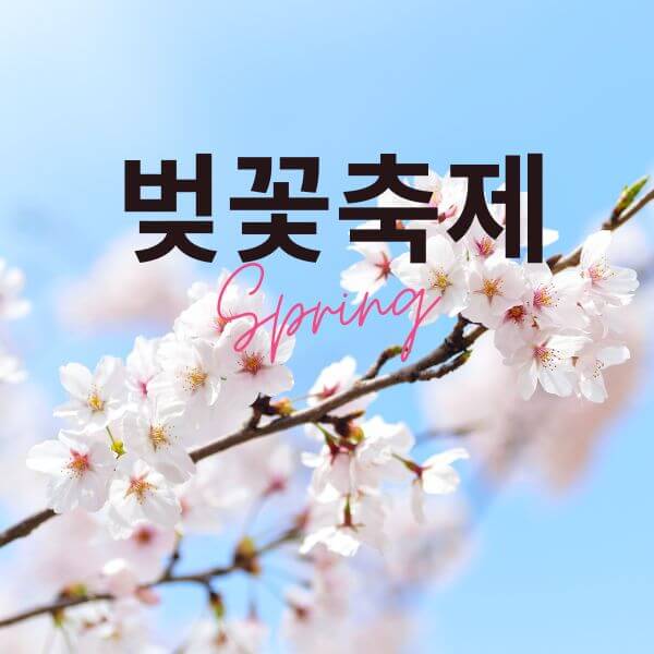 전국벚꽃축제