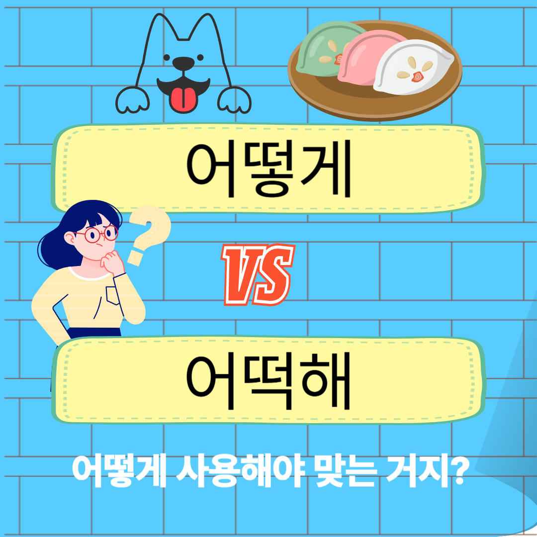어떻게 어떡해