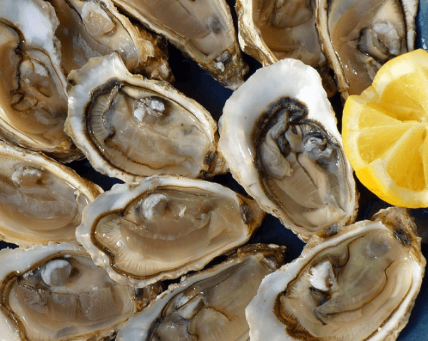 하루 건강을 지키는 9가지 영양소, 굴