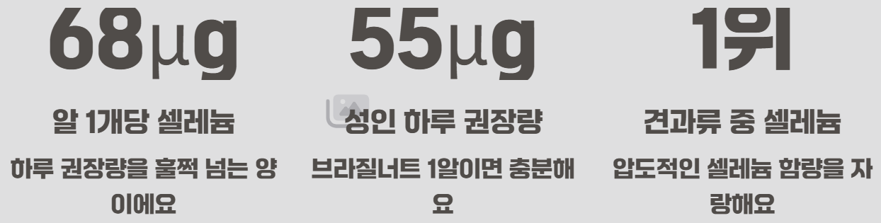 브라질너트 효능