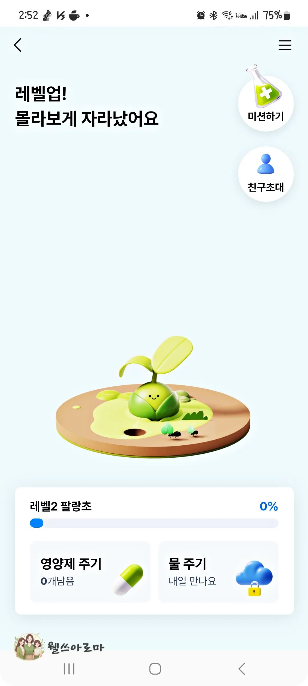 돈나무키우기-팔랑초화면