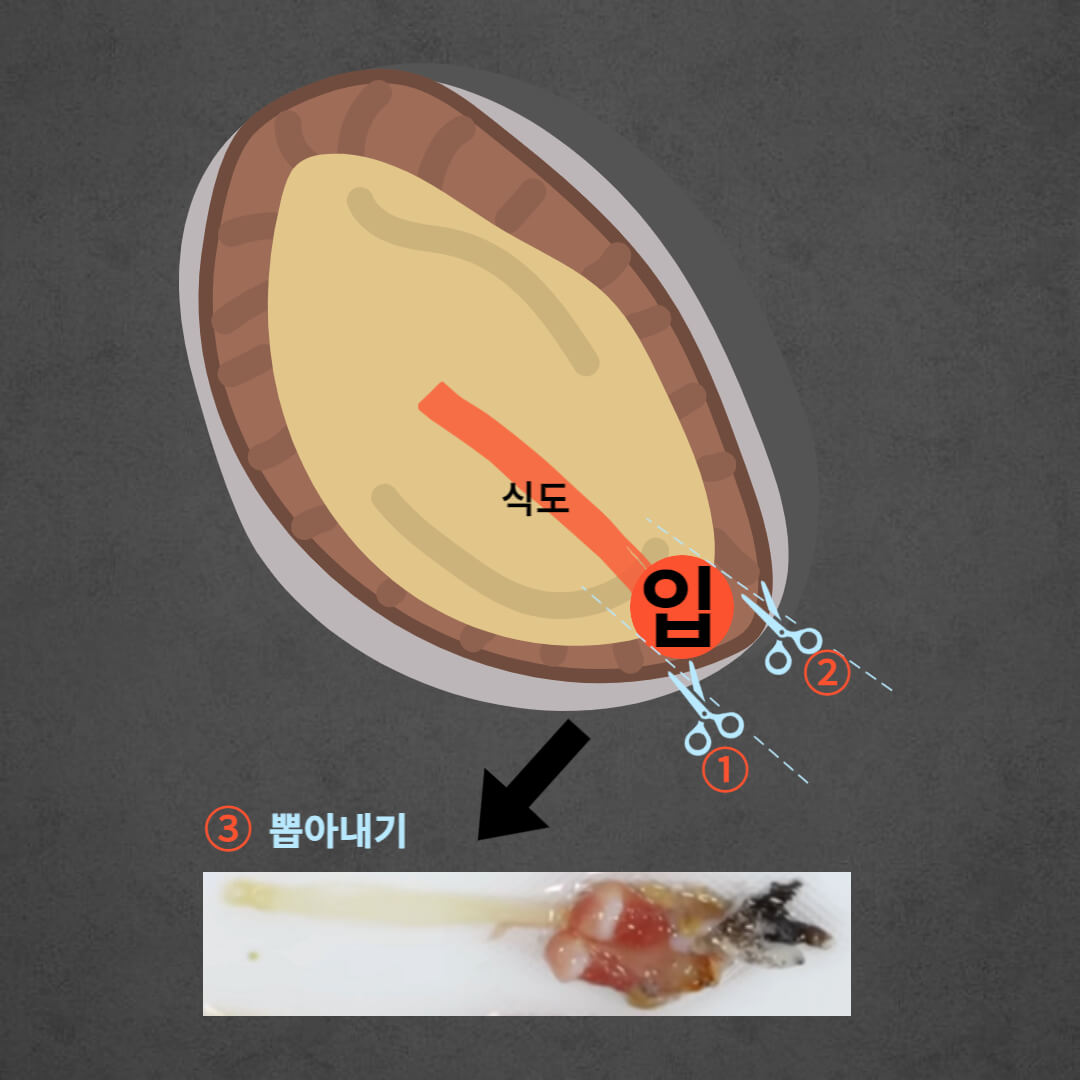 전복 손질 방법