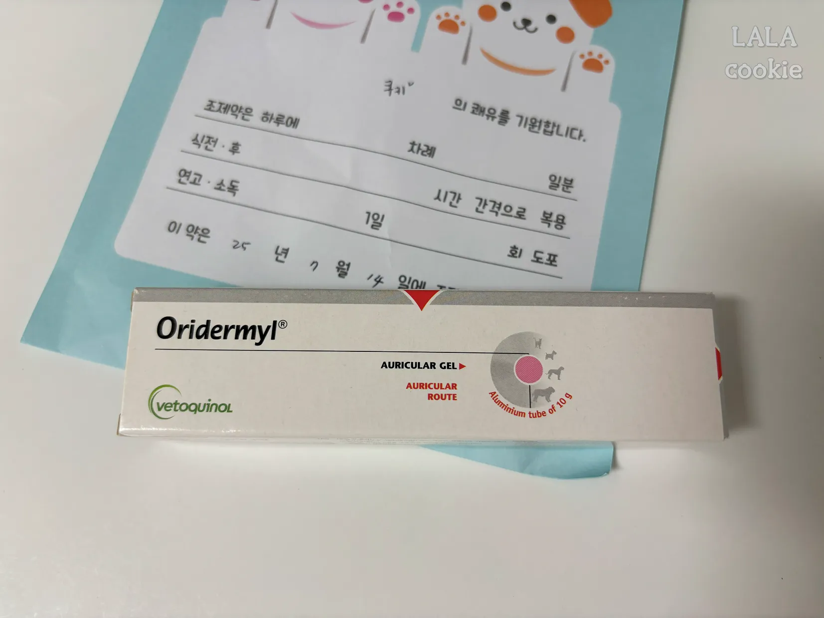 고양이-귓병-치료-후기-연고