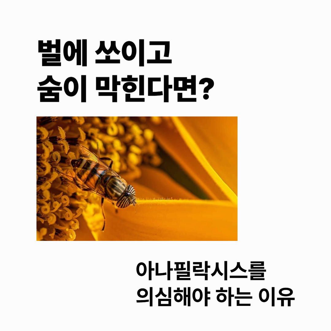 벌에 쏘이고 숨이 막힌다면? 아나필락시스를 의심해야 하는 이유