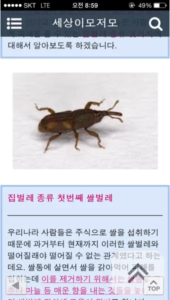집안 벌레 퇴치법_4