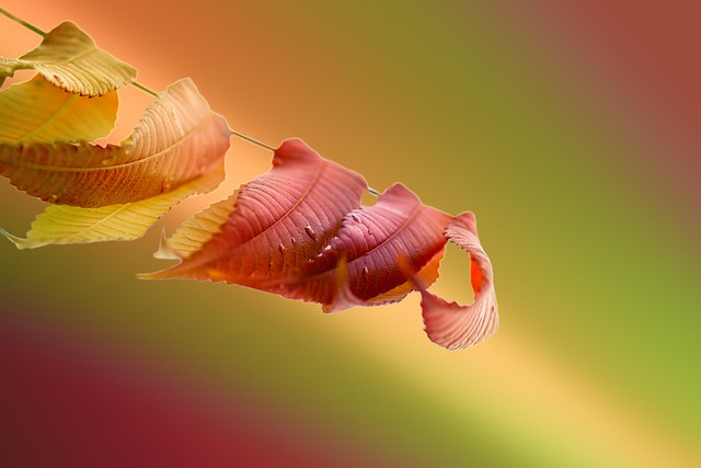 주민세 납부기간