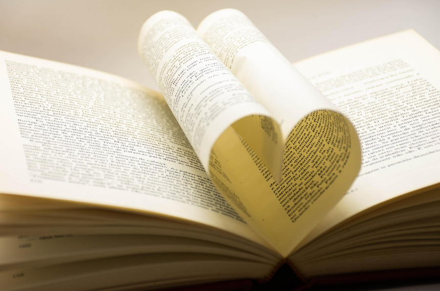 외국 소설 장르별 특성 (로맨스, 스릴러, 시리즈 구성) 참고 사진