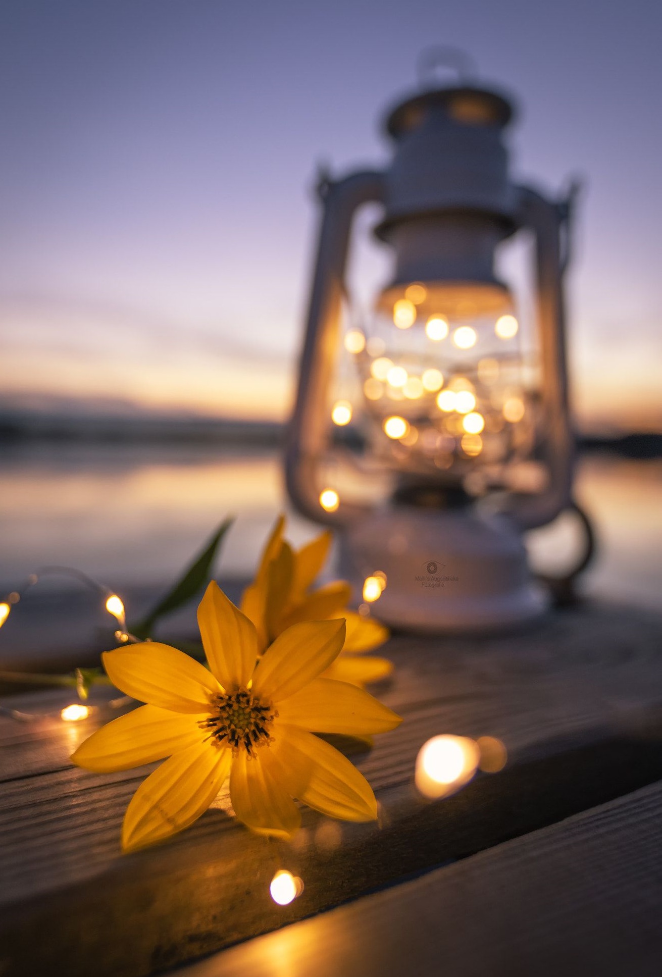 차분해지는 사진