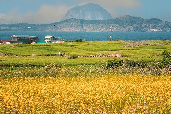 가파도 청보리축제 지도
