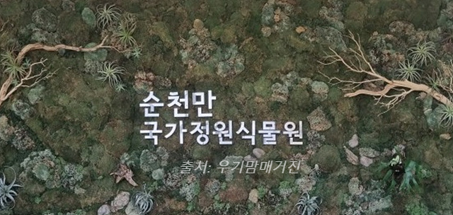 24년 순천만 국가정원 식물원 동문 순천여행