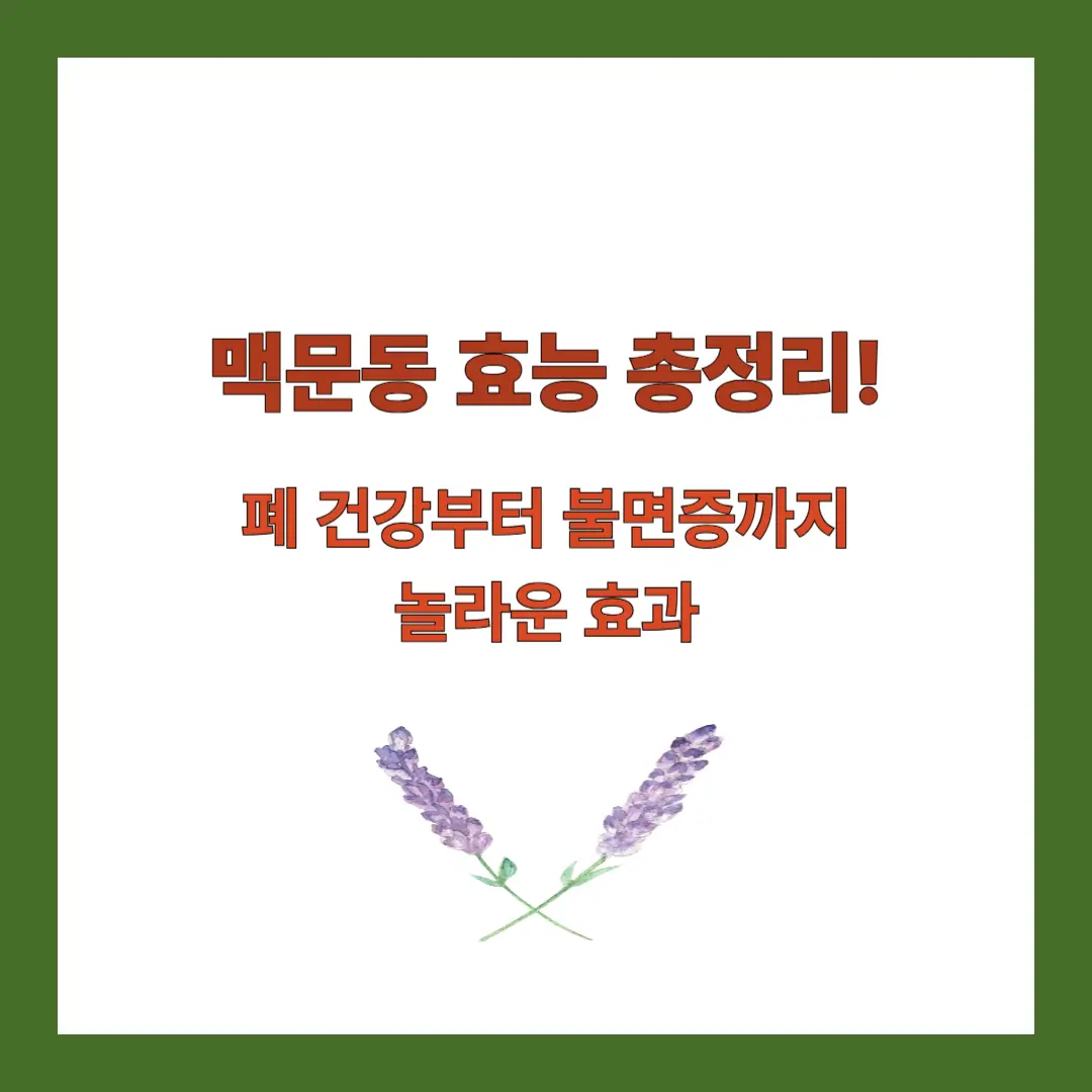 맥문동-효능