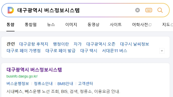 대구 버스 정보 시스템 홈페이지 메인 화면