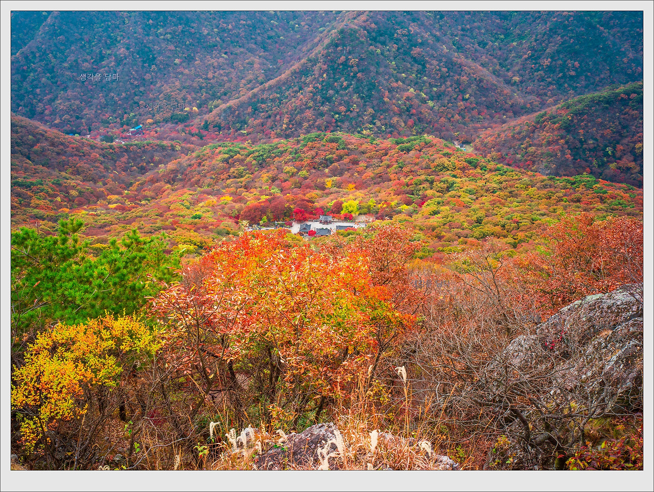 2024 내장산 단풍시기